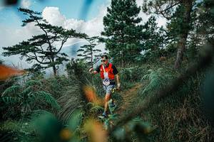 BIB: 
                            <button type="button" onclick="openModal(25259321)" class="btn btn-primary btn-sm float-right btn-popup" data-toggle="modal" data-target=".modal-high-quality">
                        <i class="fas fa-shopping-cart"></i> Add to Cart
                    </button>
                                            <button type="button" onclick="isThisMe(25259321, true)" class="btn btn-success btn-sm float-right btn-popup btn-isme hidden" data-toggle="tooltip" data-placement="bottom" title="นี่คือรูปของคุณใช่ไหม คลิกที่นี่เพื่อเอาเข้าอัลบั้ม">
                        <i class="fas fa-plus"></i> Add to album
                    </button>
                    <button type="button" onclick="isThisMe(25259321, false)" class="btn btn-warning btn-sm float-right btn-popup btn-isnotme hidden">
                        <i class="fas fa-ban"></i> Remove from album
                    </button>